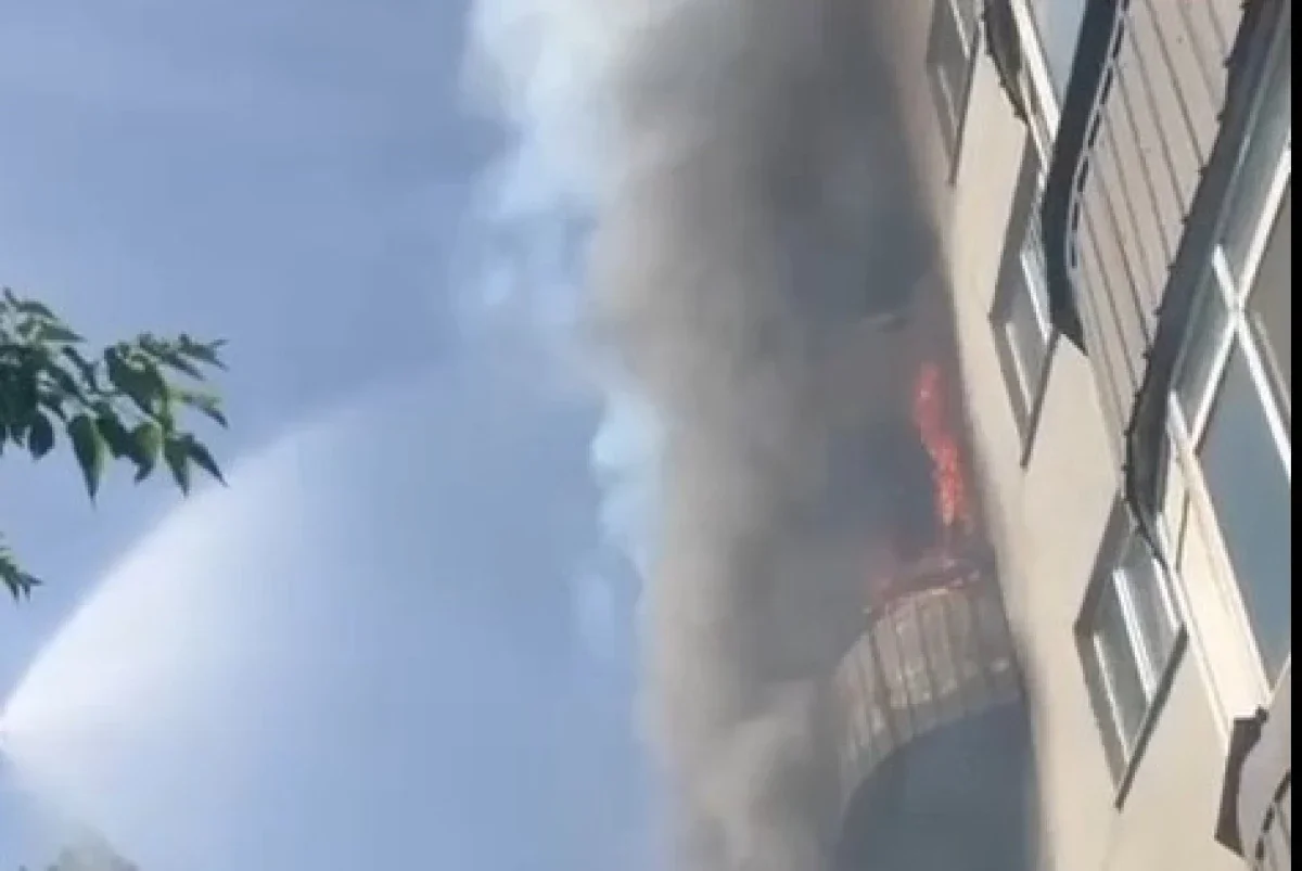 Видеодан кадр