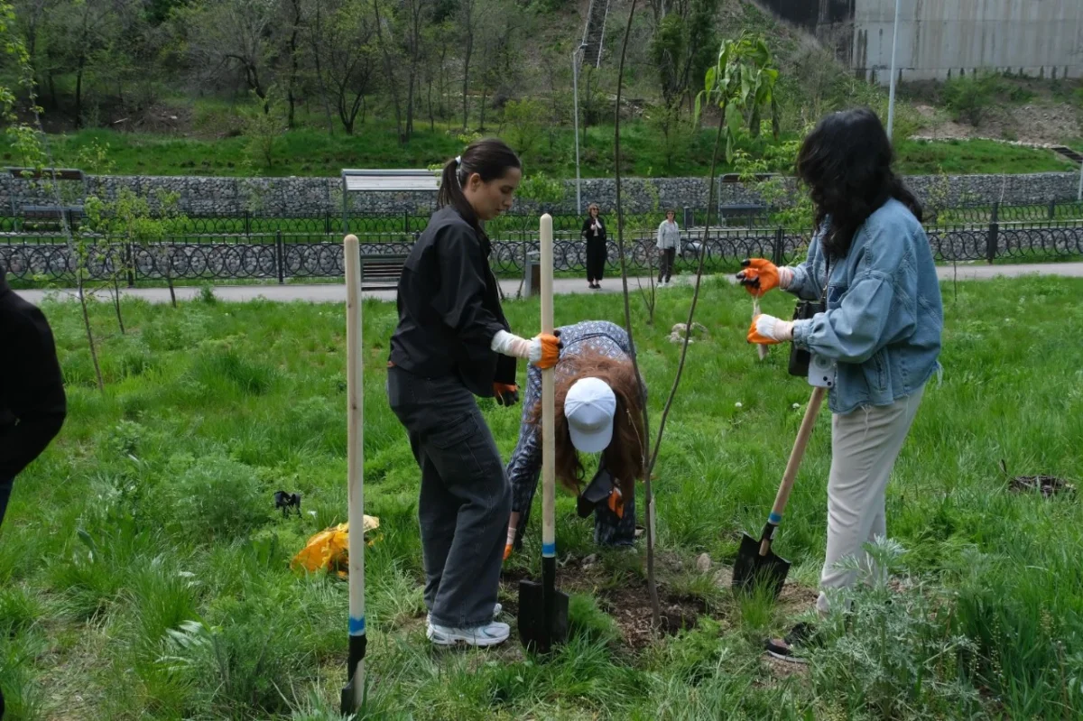 Алматы әкімдігінің баспасөз қызметі