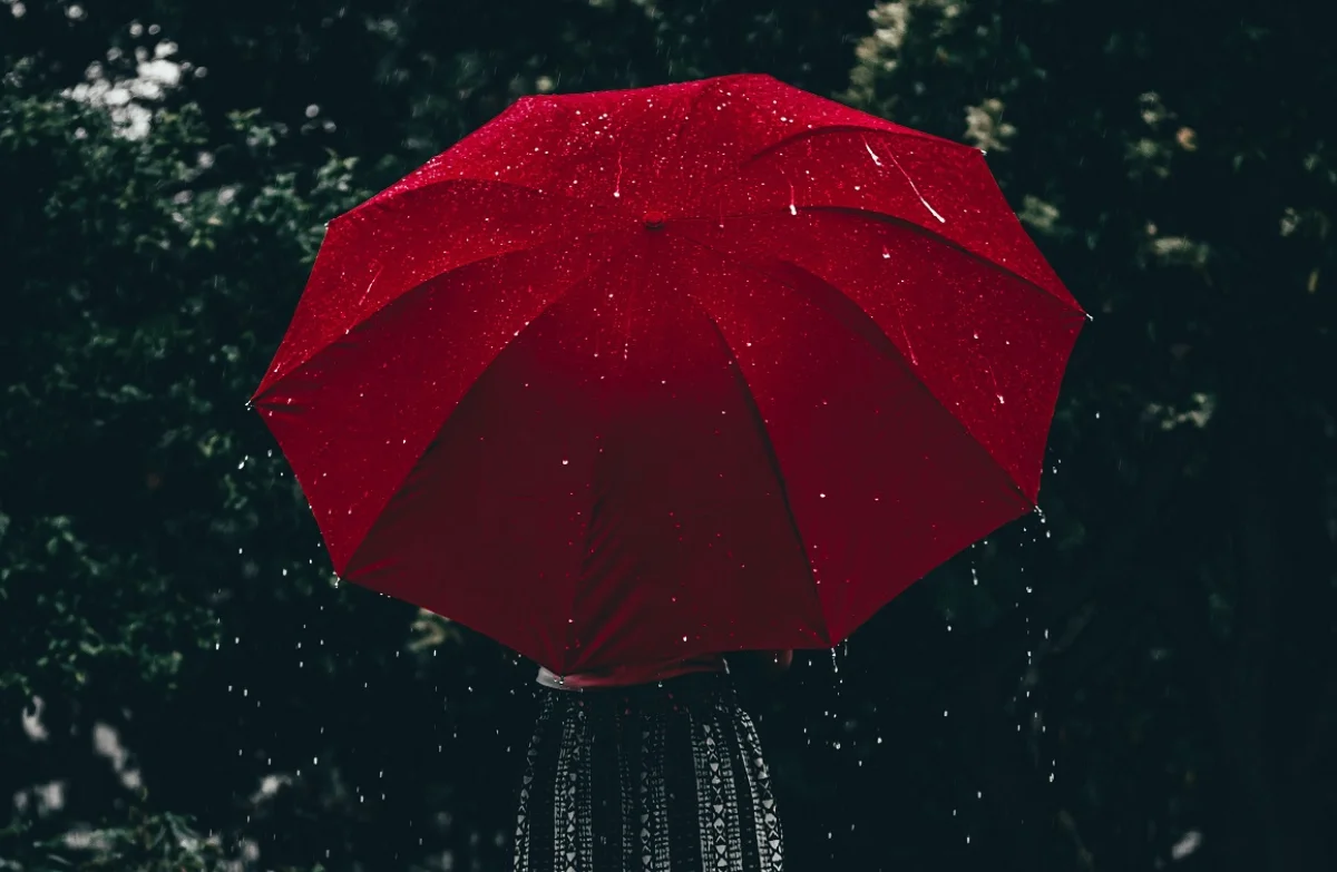 Photo by Aline de Nadai on Unsplash