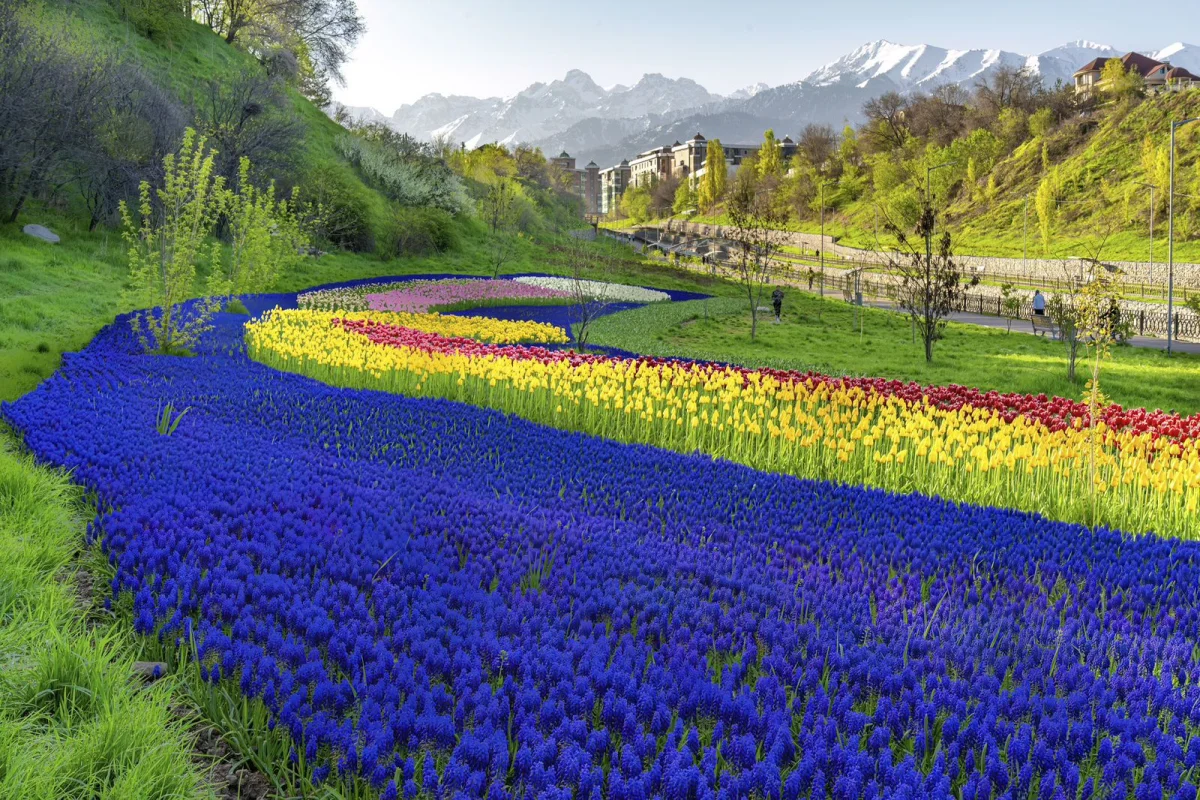 Дмитрий Доценко