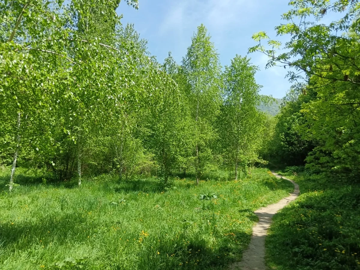 Фото: Victor Glutsenko