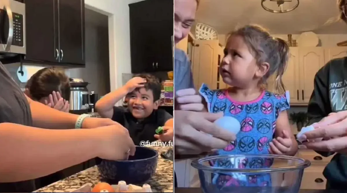 Видеодан кадр