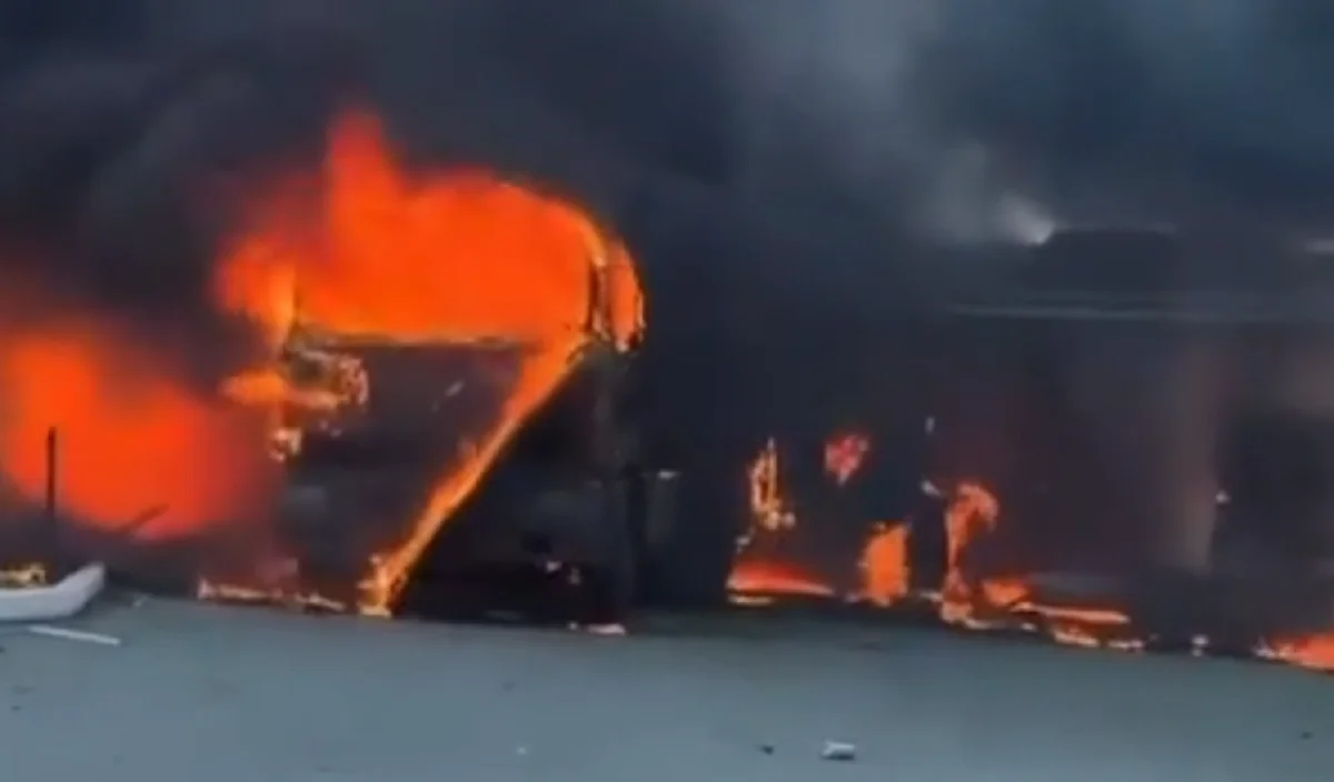 Видеодан кадр