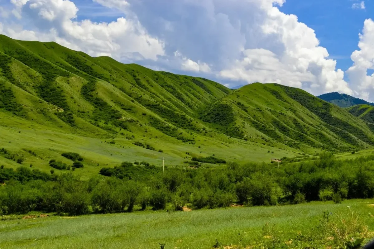 Photo by Nessi Gileva on Unsplash