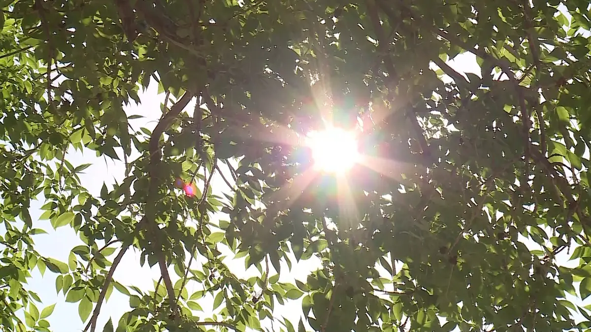 Almaty.tv