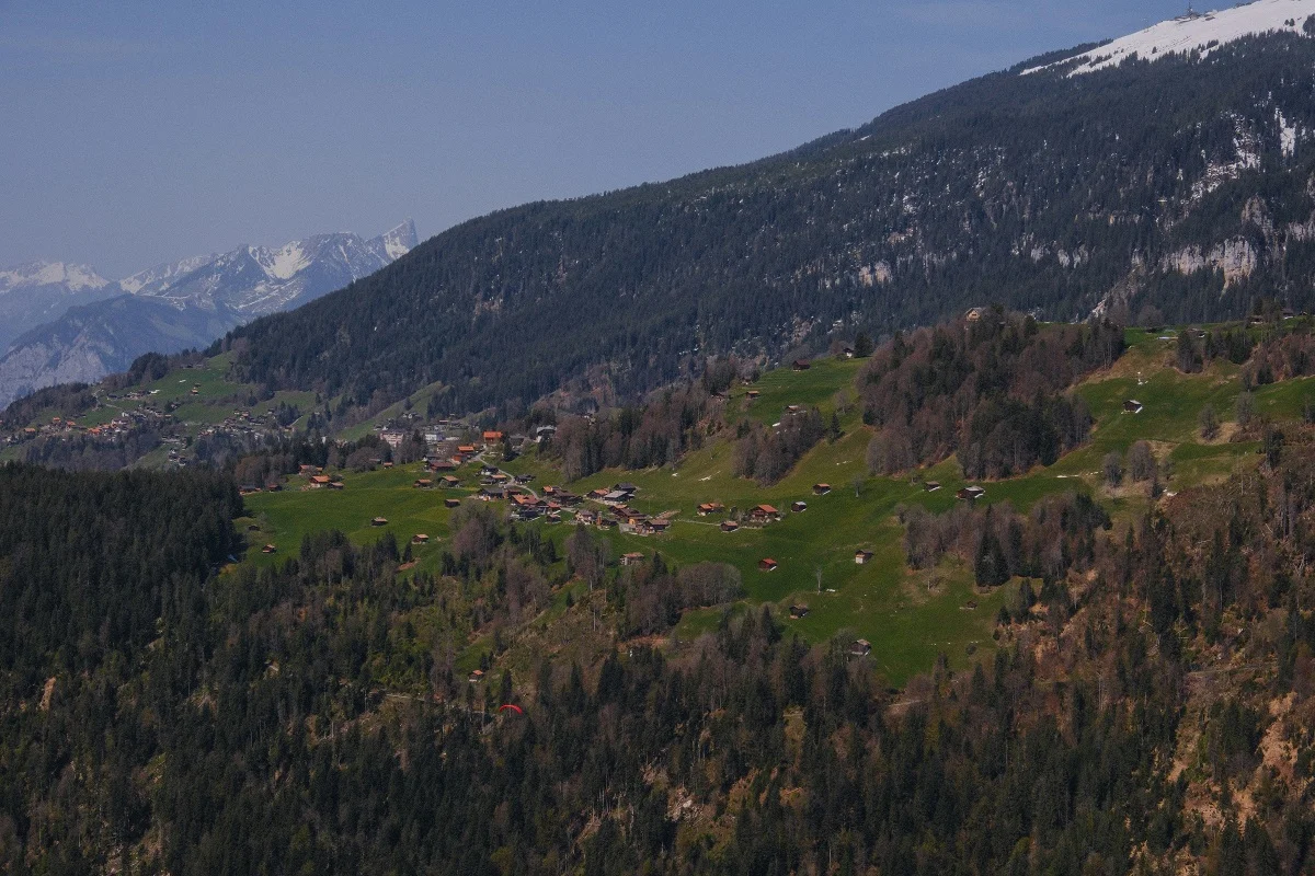 Photo by Alex Presa on Unsplash