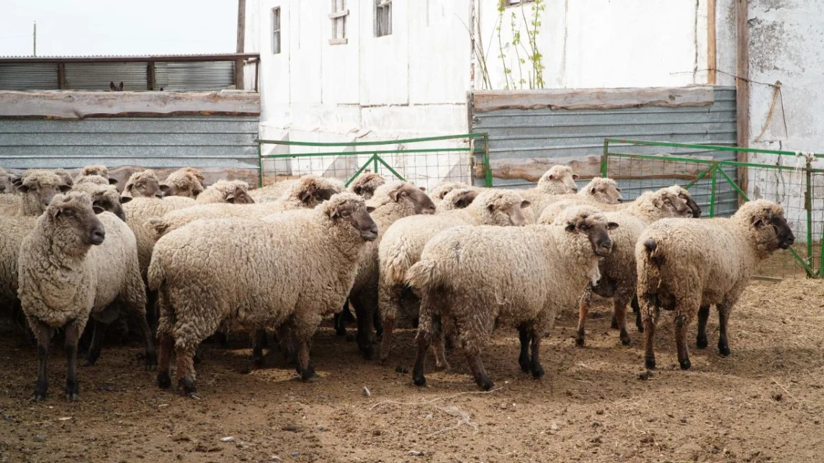 Министерство сельского хозяйства Республики Казахстан