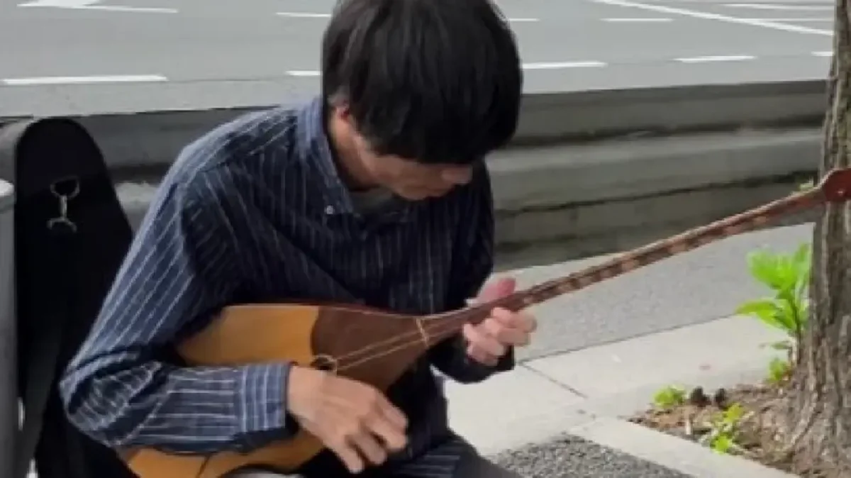 Видеодан кадр