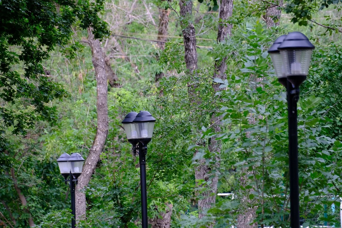 пресс-служба акима Алматы