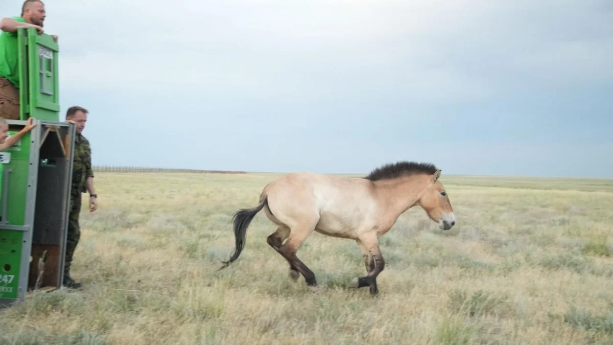 Қазақстан Республикасы Экология және табиғи ресурстар министрлігі Орман шаруашылығы және жануарлар дүниесі комитеті
