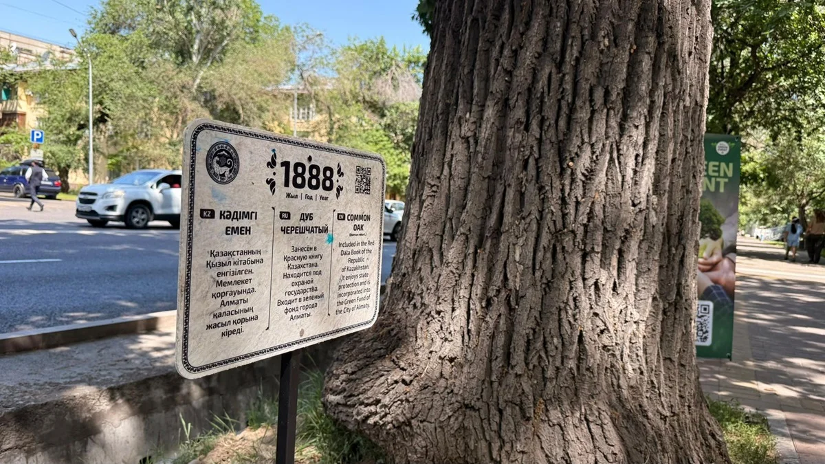 Фото: пресс-служба акима Алматы