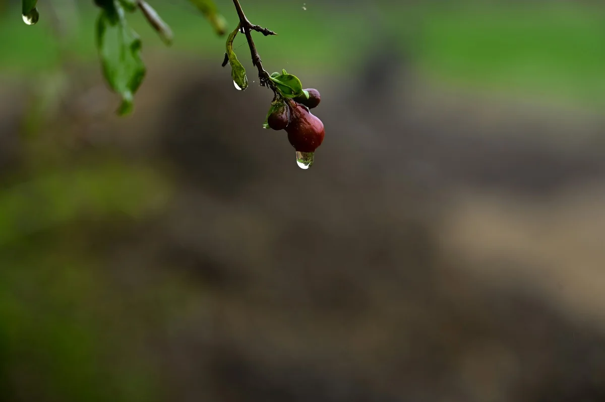 Photo by Rajesh Rajput on Unsplash