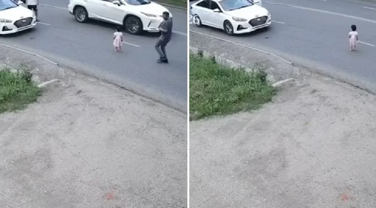 Видеодан кадр