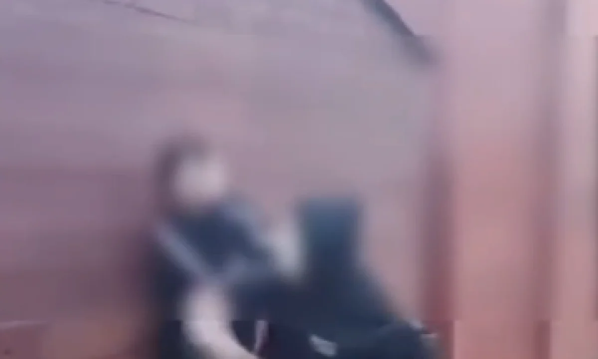 Видеодан кадр