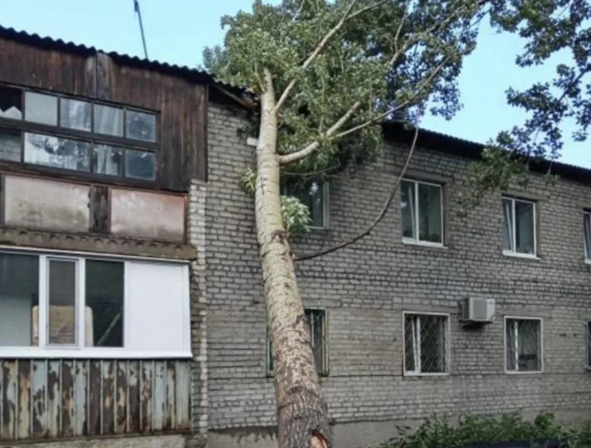 Фото: пресс-служба акимата Павлодарской области