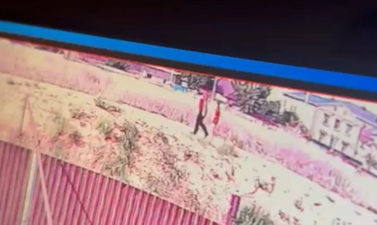 Видеодан кадр