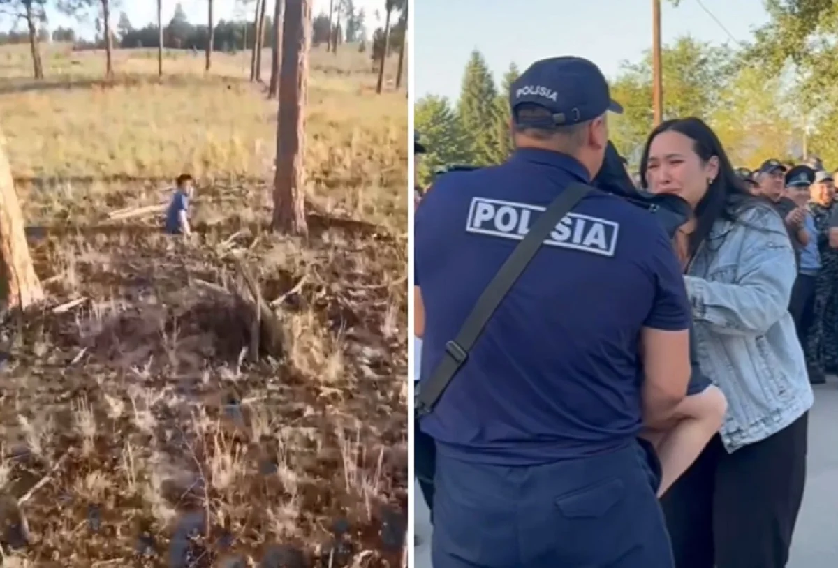 Видеодан кадр