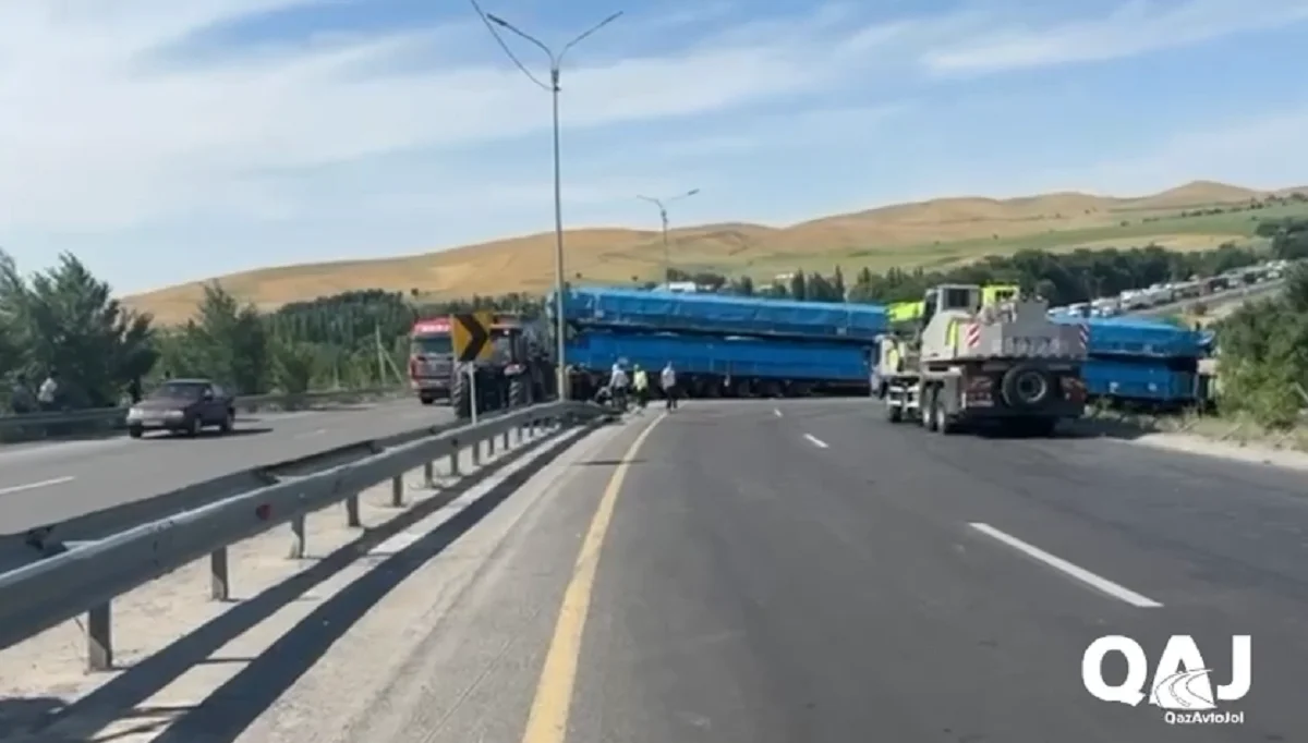 Видеодан кадр