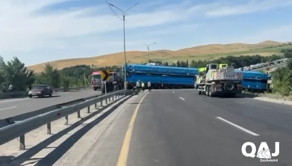 Видеодан кадр