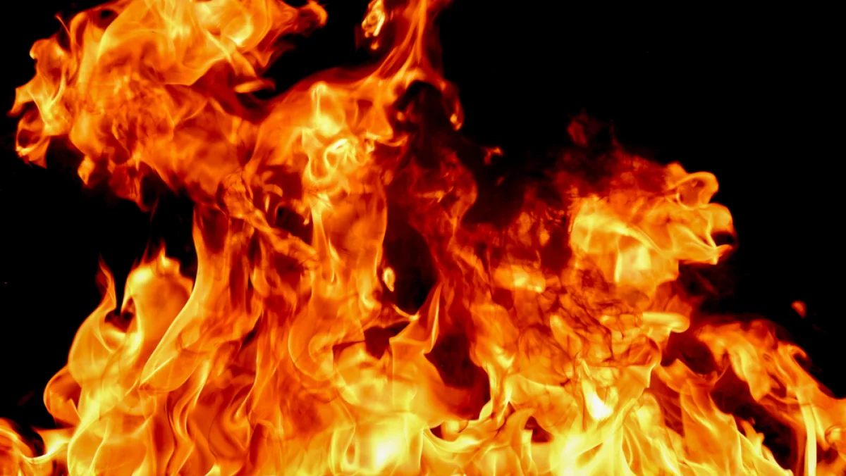 Фото: depositphotos.com