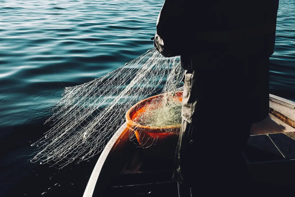 Fredrik Öhlander/ unsplash.com/