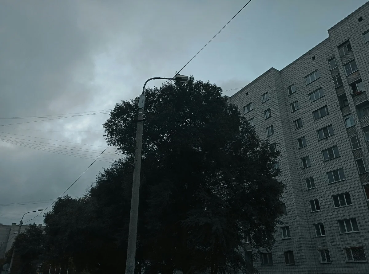 Photo by Eugene Uhanov on Unsplash