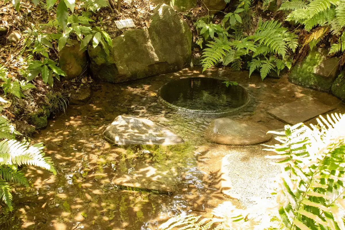 Joan/unsplash.com/