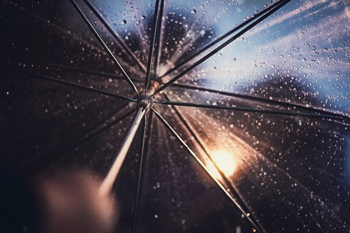 Photo by Nechama Lock on Unsplash