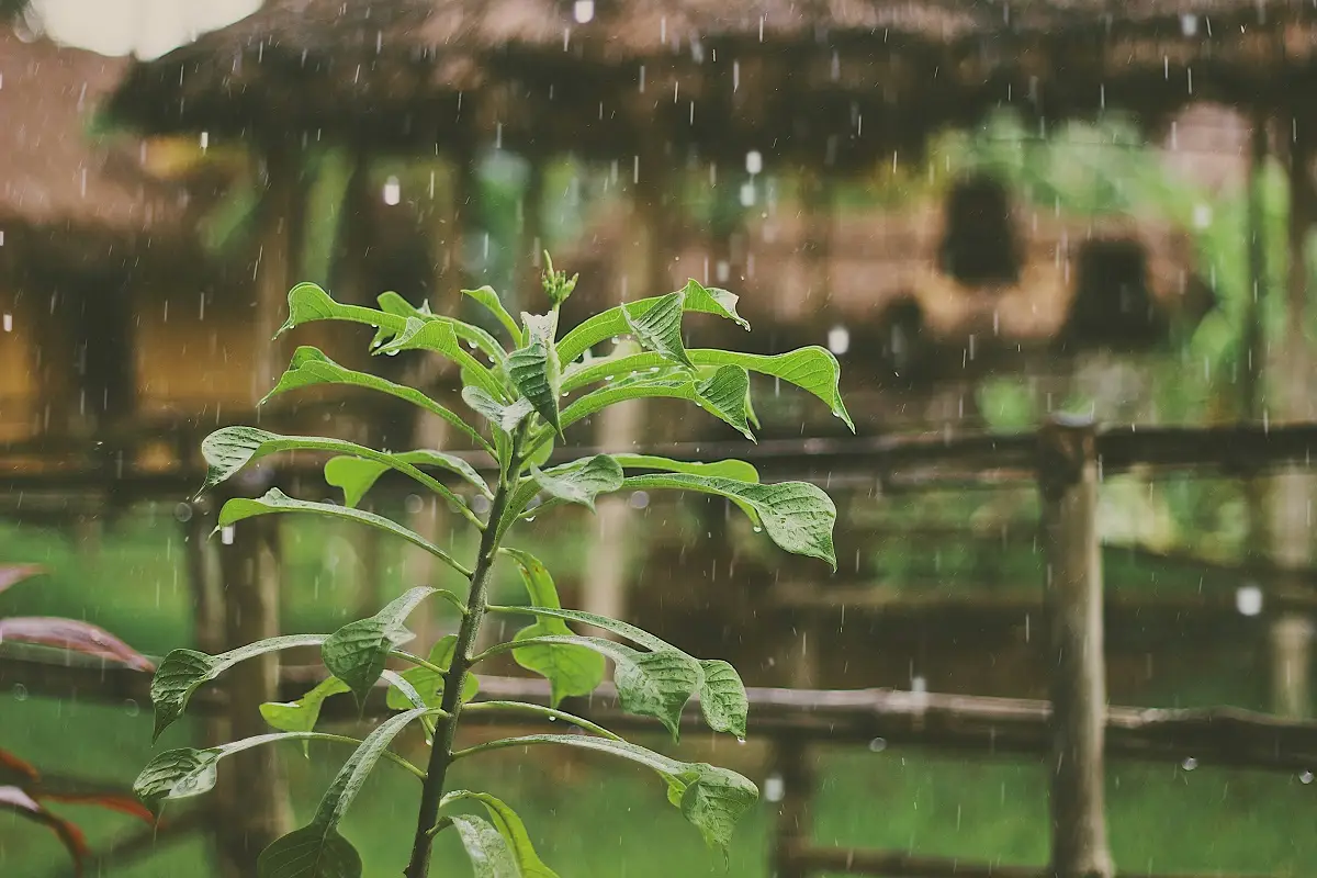 Photo by Mike Kotsch on Unsplash
