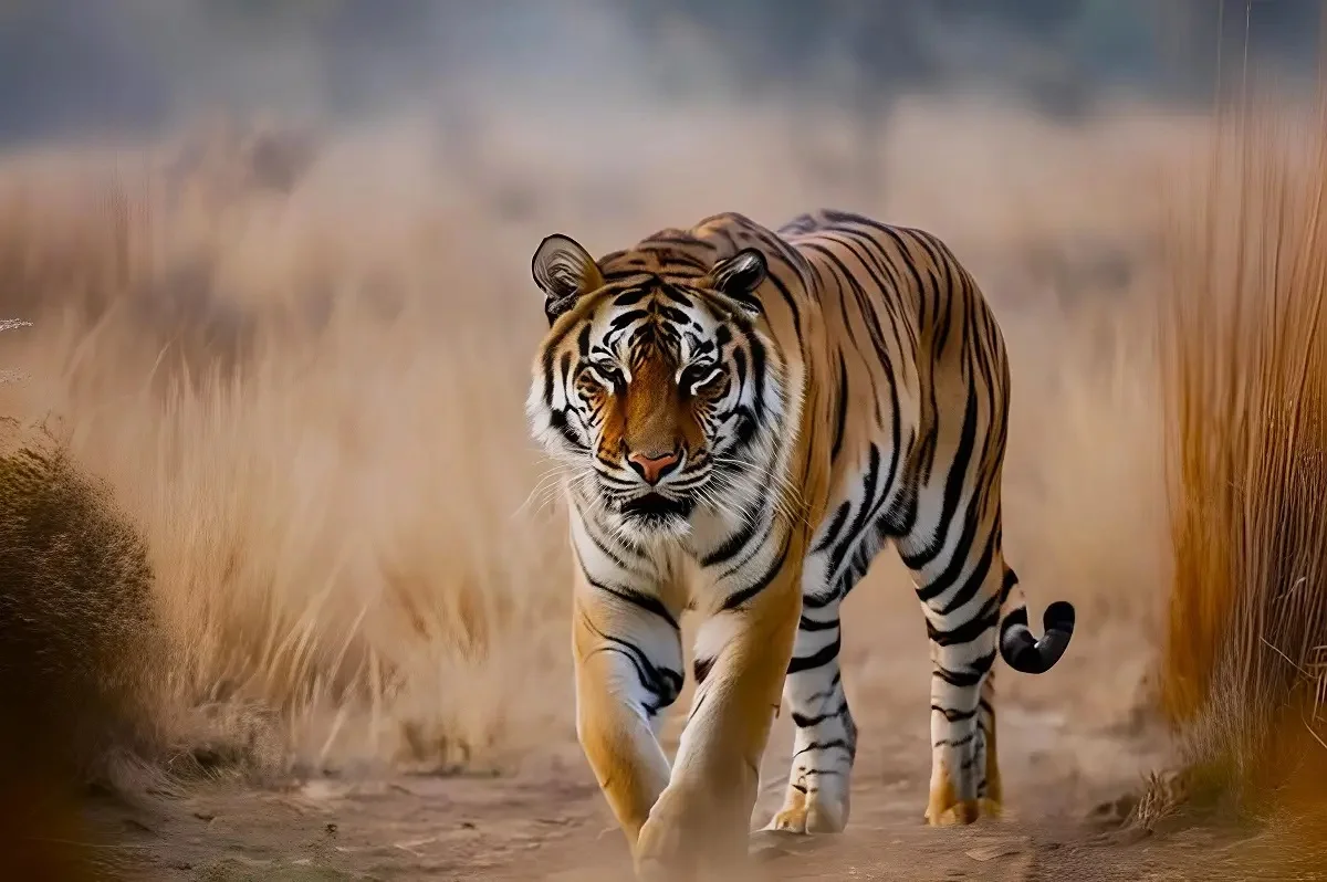 сгенерировано ИИ