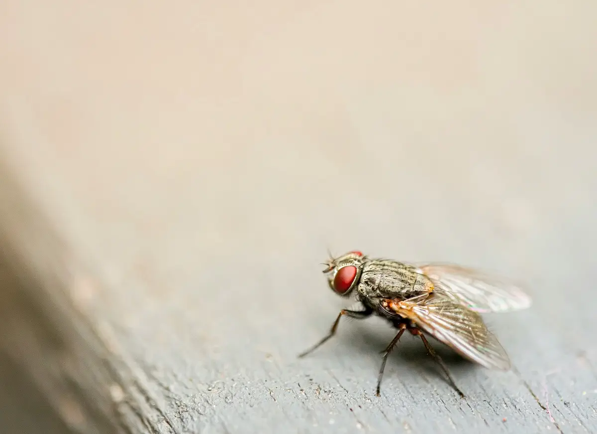 Photo by Jin Yeong Kim on Unsplash