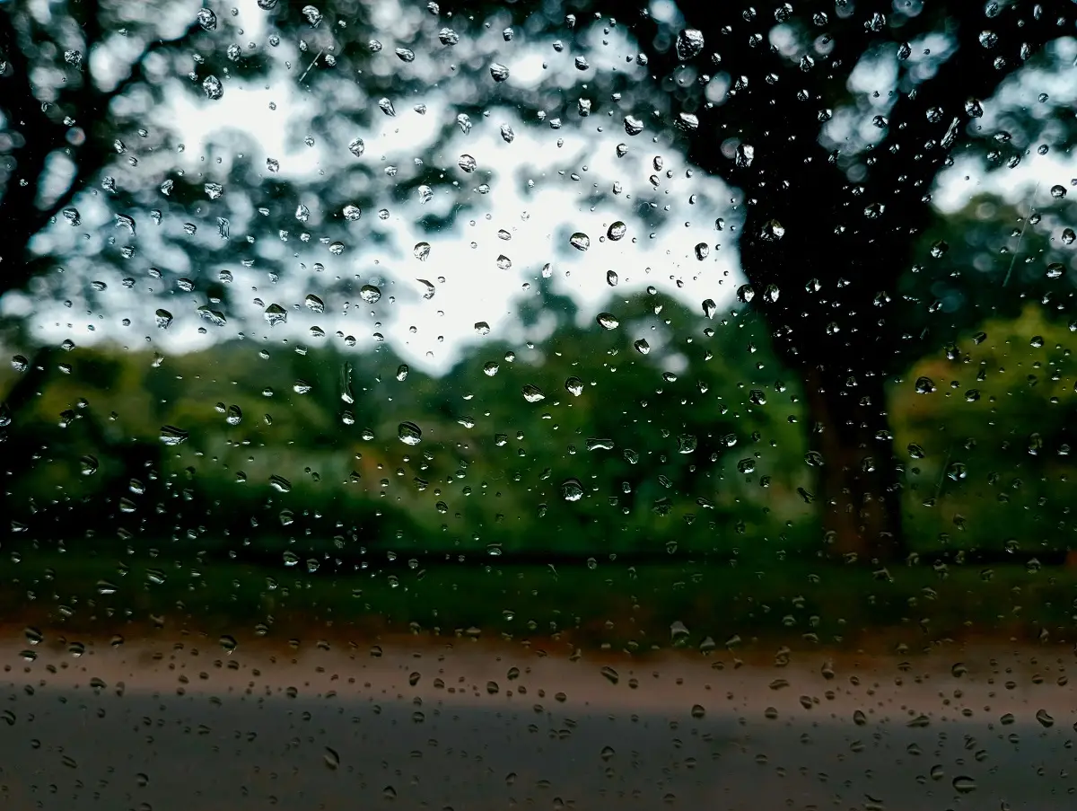 Photo by liewtography 1610 on Unsplash