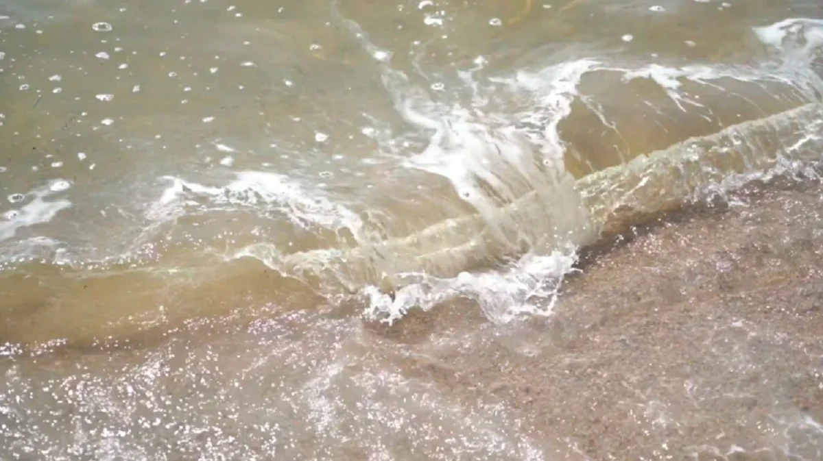 ШҚО ТЖД баспасөз қызметі