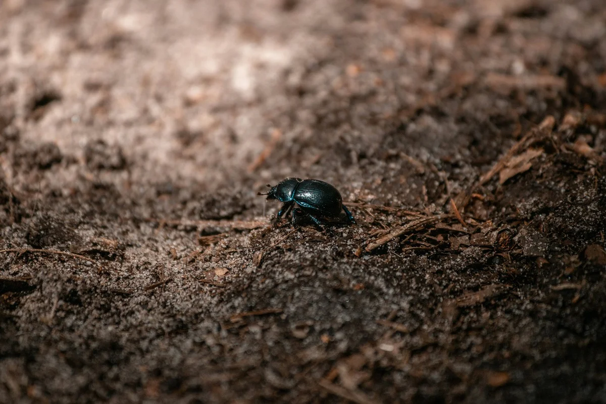 Photo by Sven Verweij on Unsplash