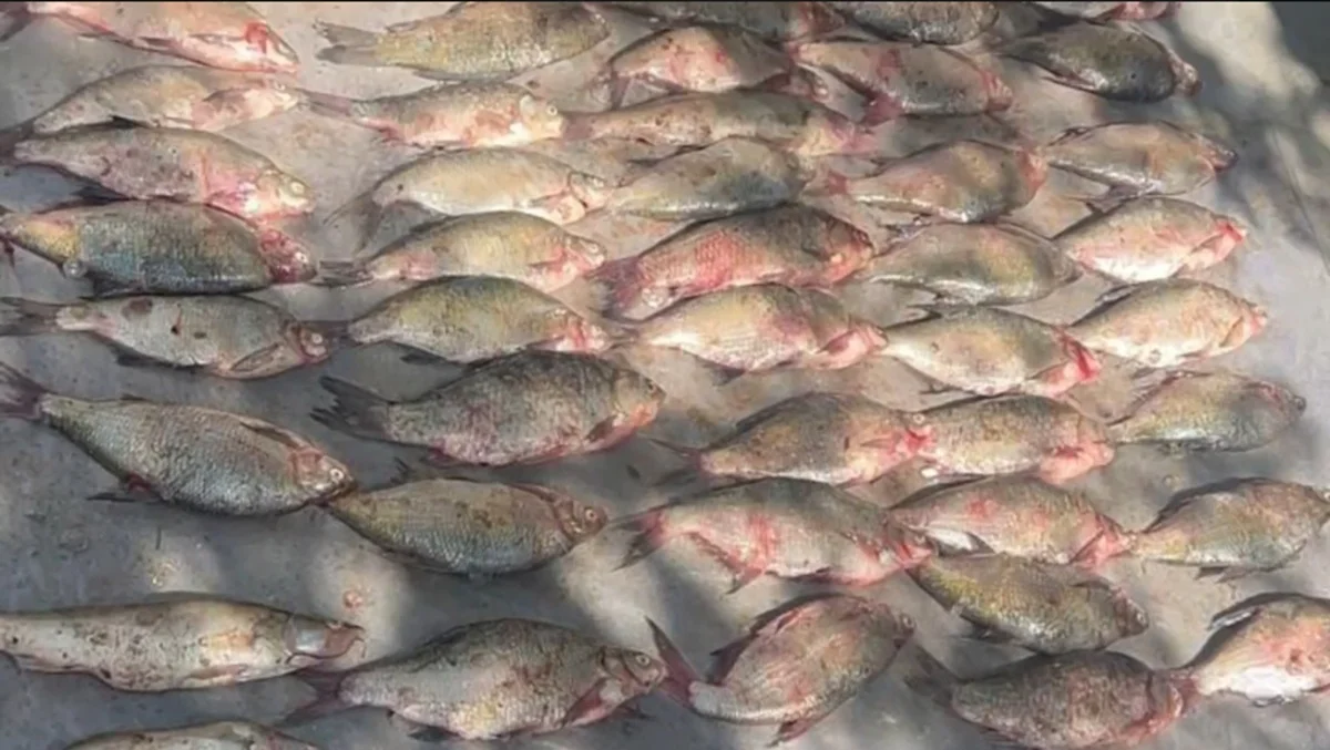 Кадр из видео