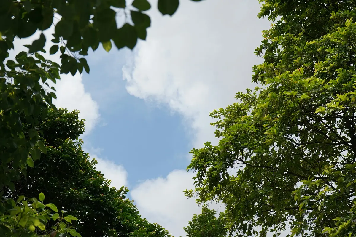 Photo by Nefelibata Niska on Unsplash