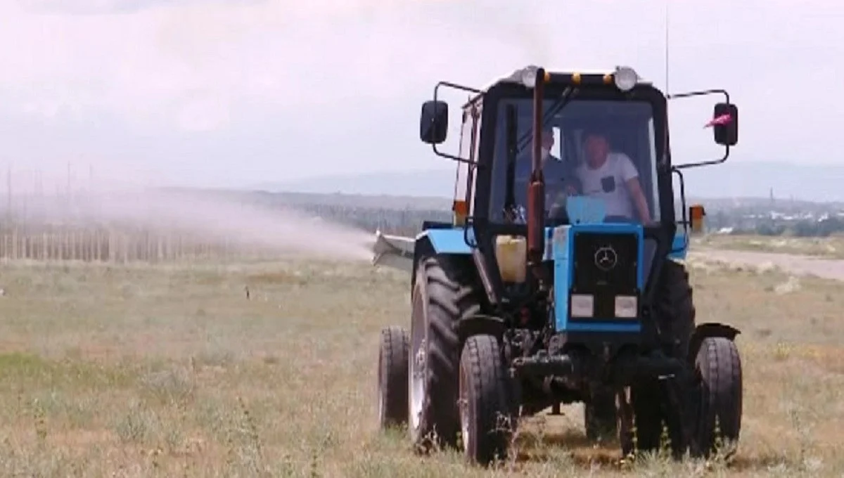 из архива Almaty.tv.