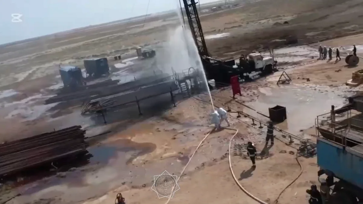 Видеодан кадр