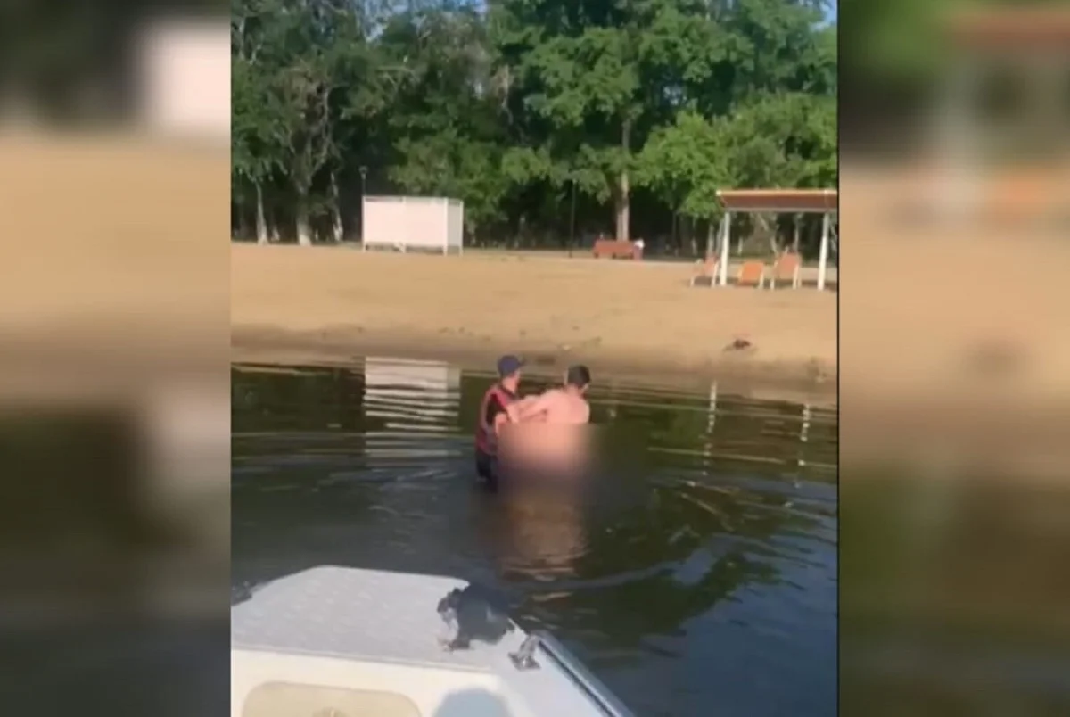 Видеодан кадр