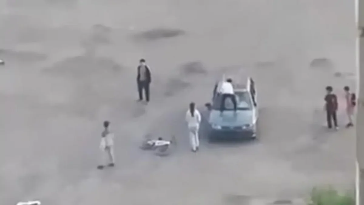 Видеодан кадр