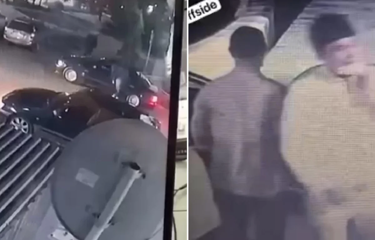 Видеодан кадр