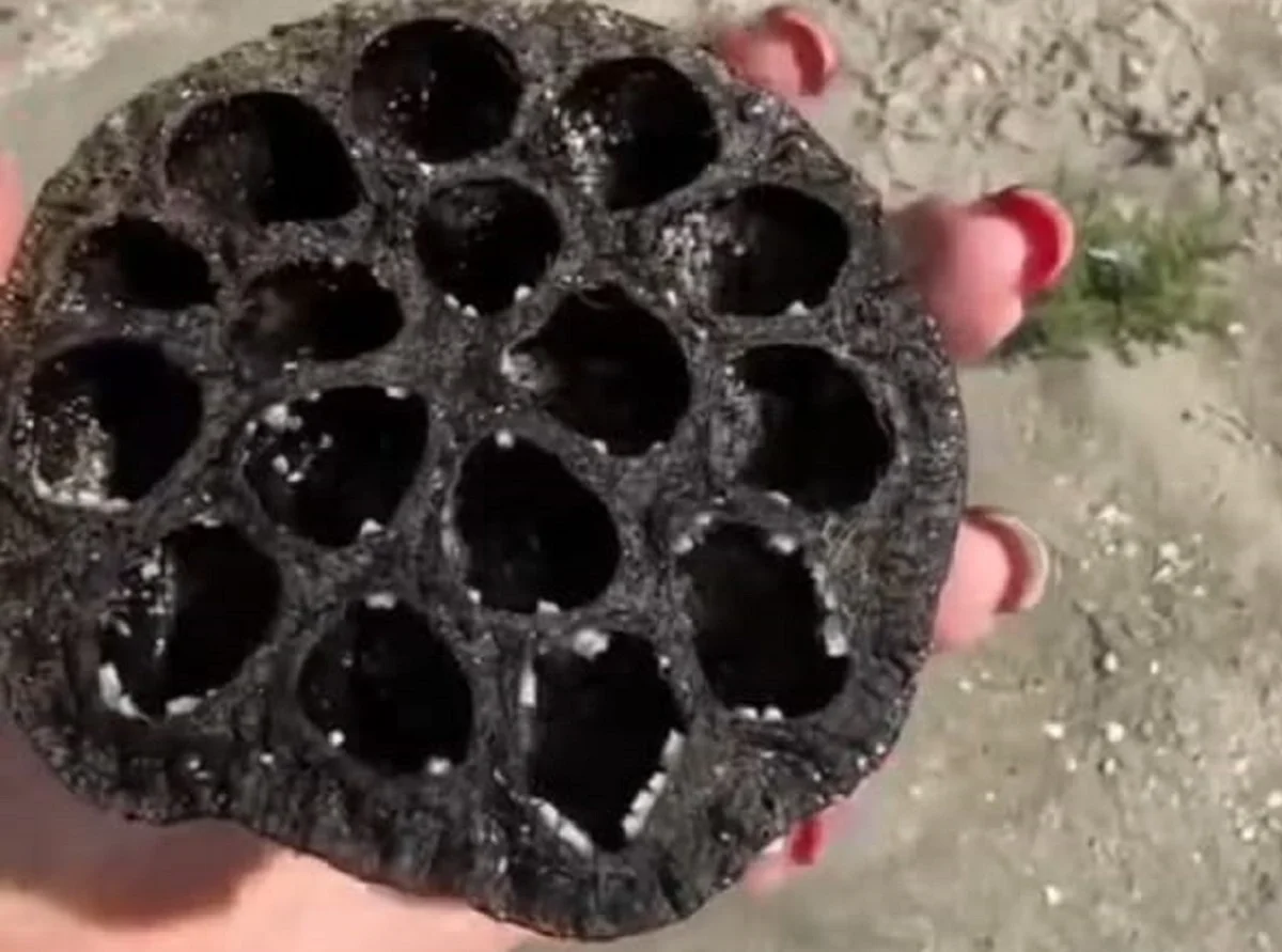 Кадр из видео