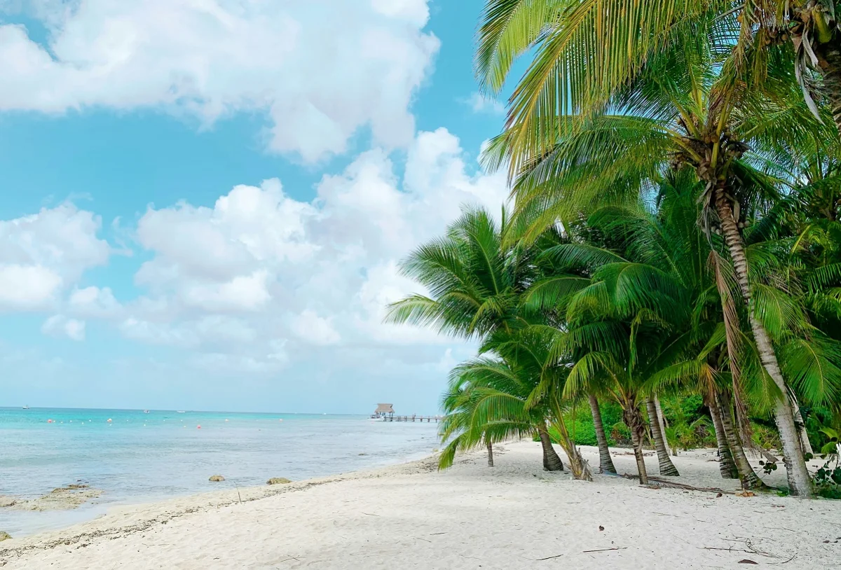 Photo by Fallon Michael on Unsplash