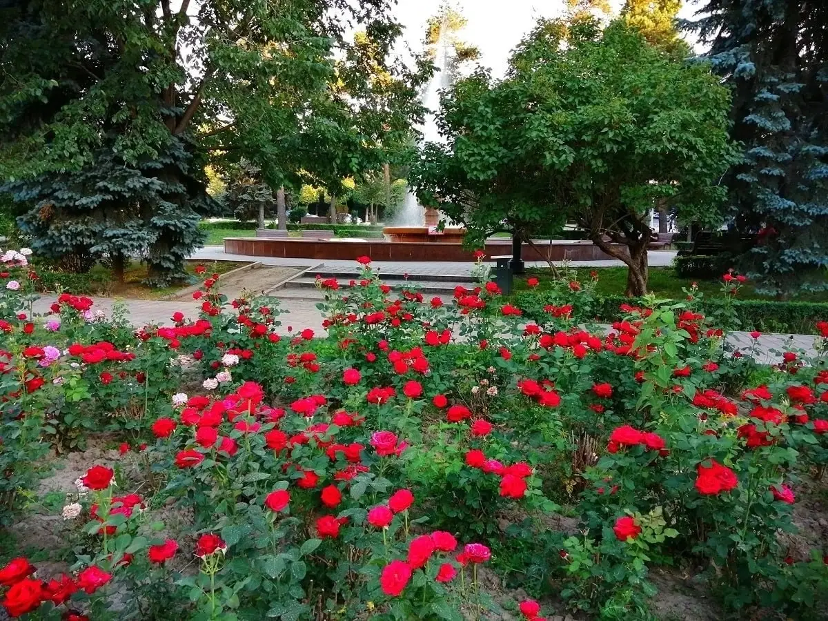 фото Victor Glutsenko