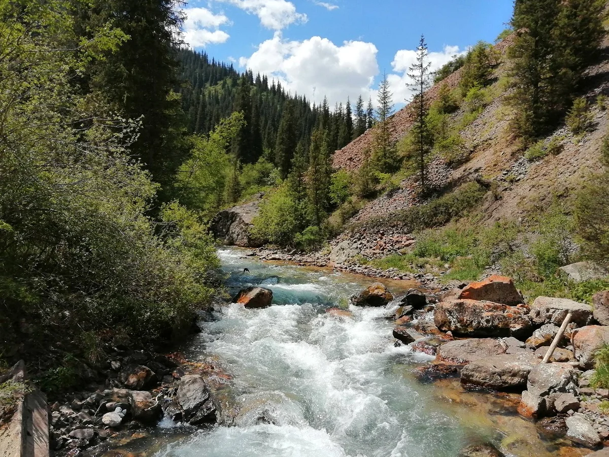 фото Victor Glutsenko