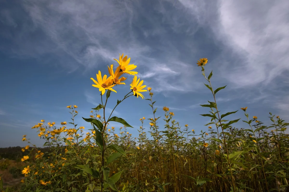 Photo by Andriy Nestruiev on Unsplash