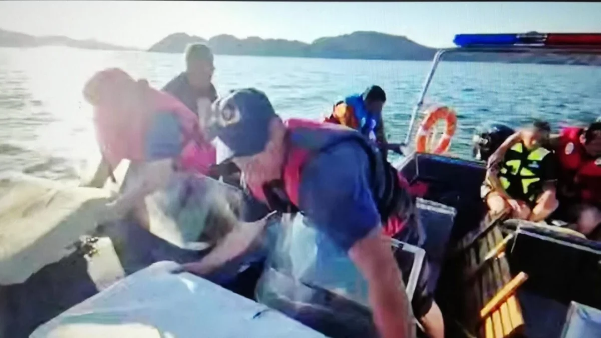 Видеодан кадр