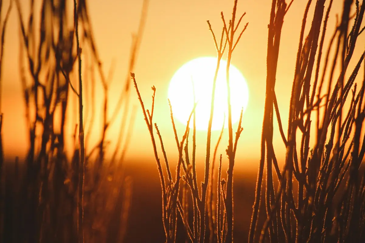 Photo by Jeremy Bishop on Unsplash