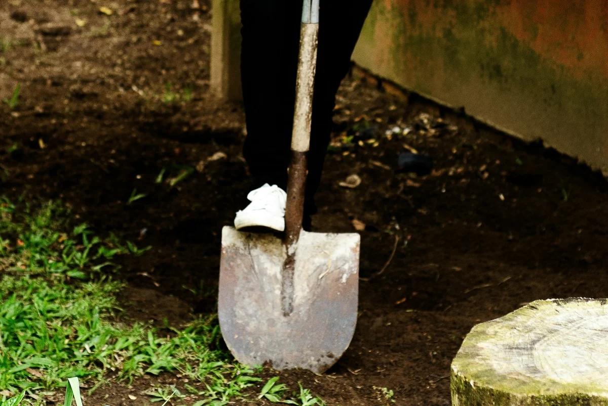 Photo by Luísa Schetinger on Unsplash