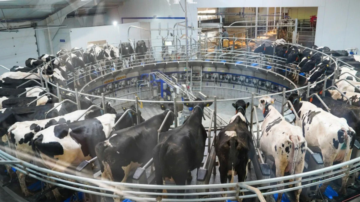 Фото: пресс-служба Правительства РК